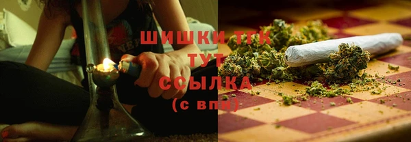 крисы Нея