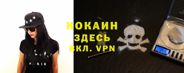 ALPHA-PVP Новозыбков