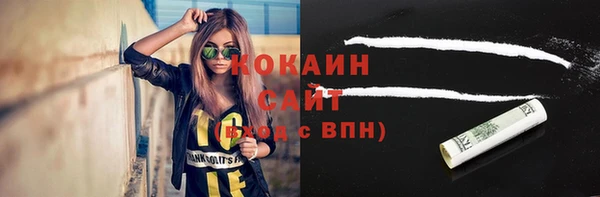 крисы Нея