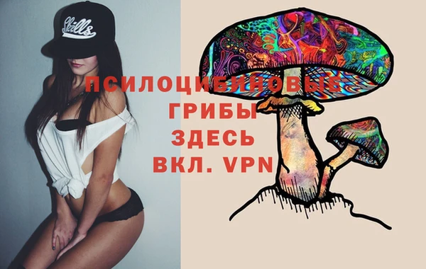 ALPHA-PVP Новозыбков
