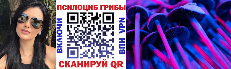 Псилоцибиновые грибы Psilocybine cubensis Инза
